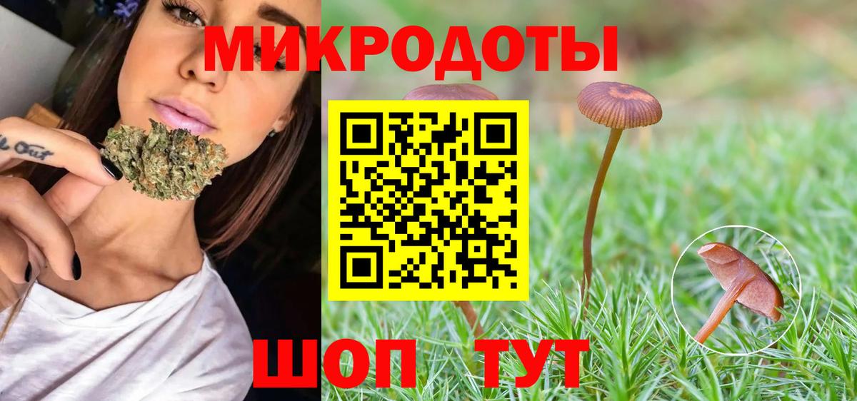 Псилоцибиновые грибы прущие грибы Избербаш