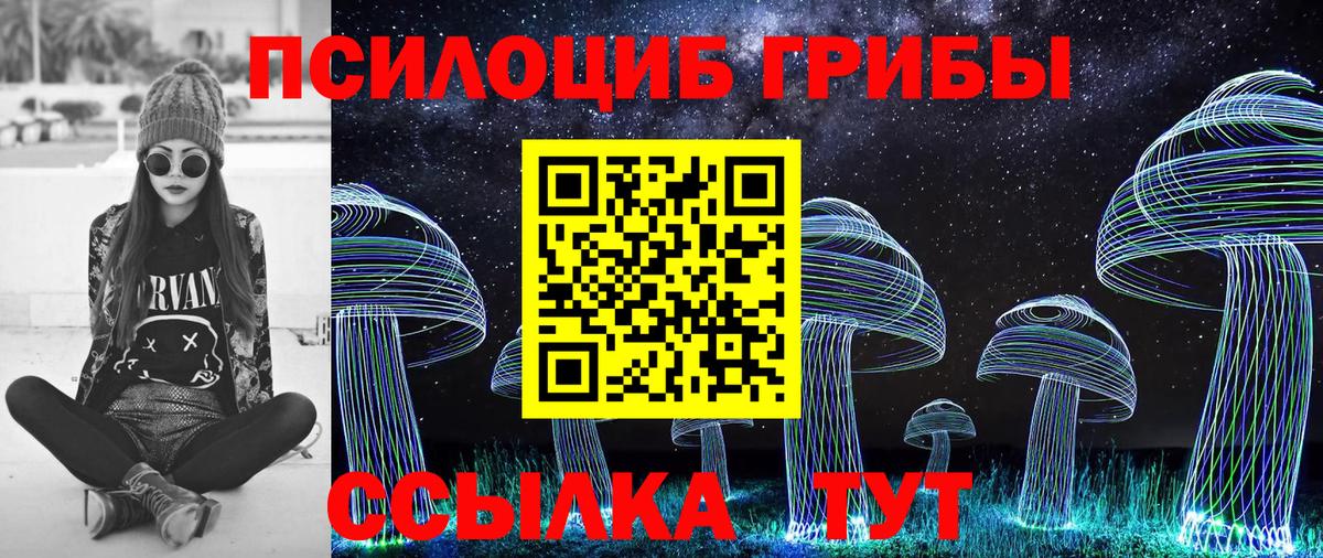 Псилоцибиновые грибы GOLDEN TEACHER  Вход с VPN  Избербаш 